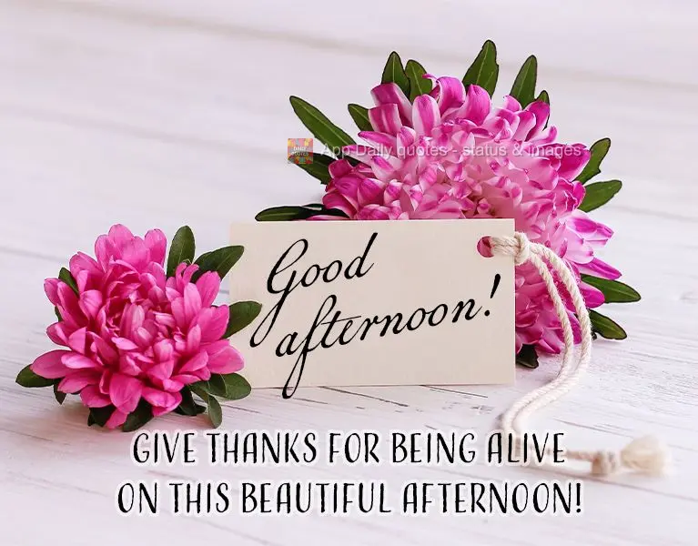 Give thanks for being alive on this beautiful afternoon! Good afternoon!