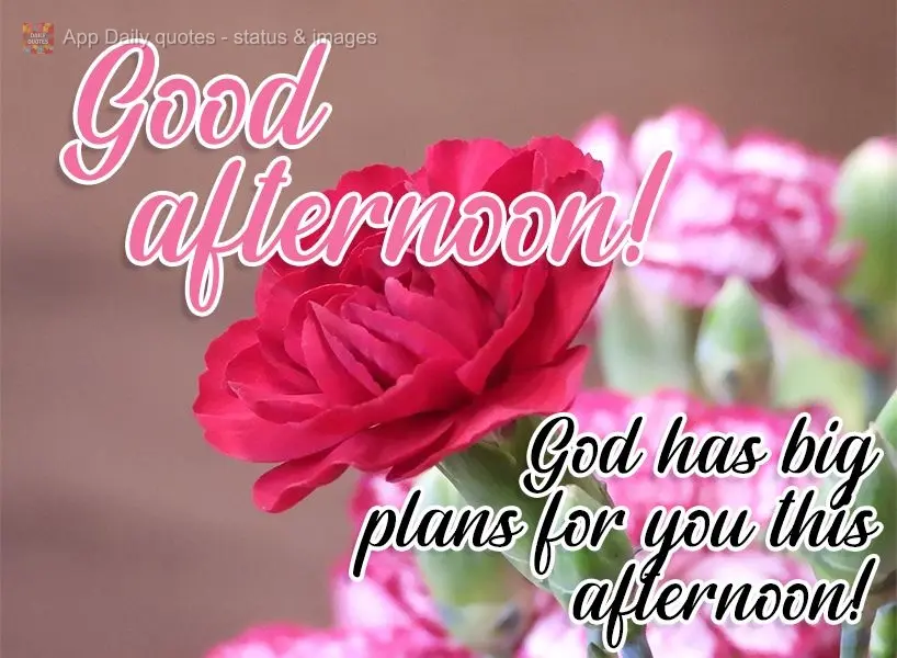 God has big plans for you this afternoon!  Good afternoon! 