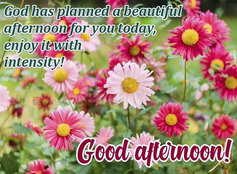 God has planned a beautiful afternoon for you today, enjoy it with intensity!  Good afternoon! 