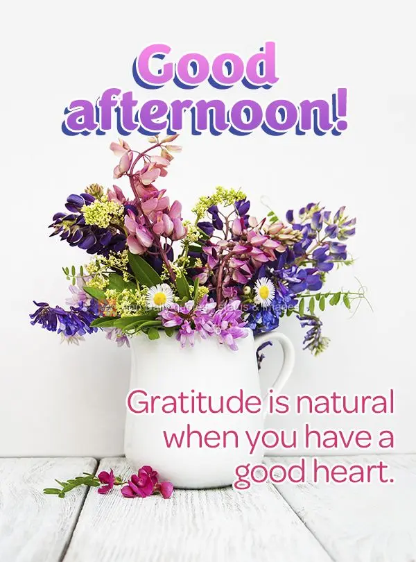 Gratitude comes naturally when you have a good heart. Good afternoon!