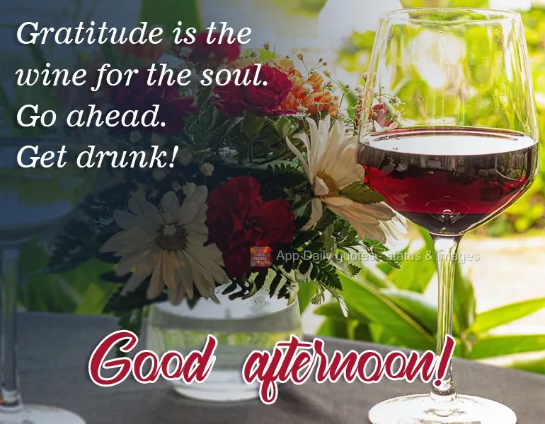 Gratitude is wine for the soul. Go ahead. Get drunk! Good Afternoon!