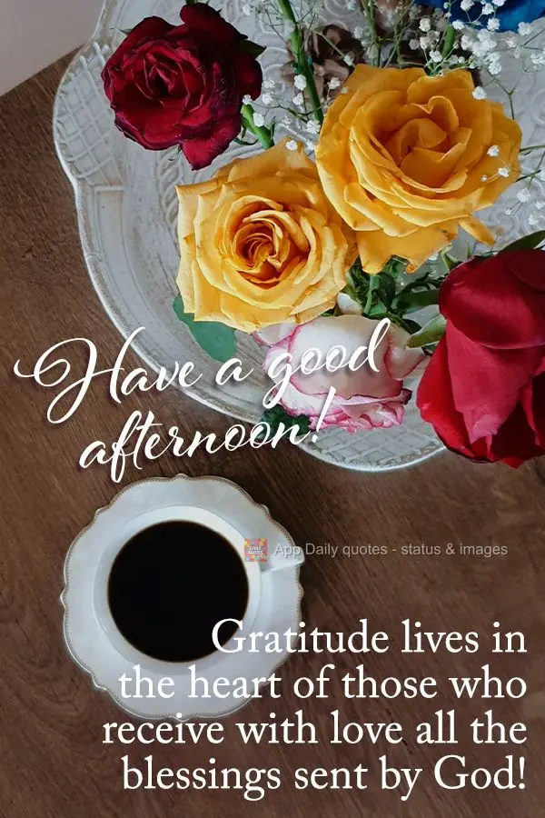 Gratitude lives in the heart of those who receive with love all the blessings sent by God! Have a good afternoon!
