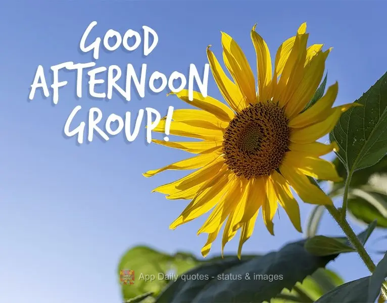 Good afternoon group!