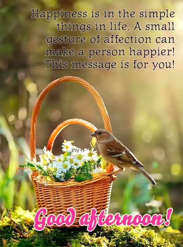 Happiness is in the simple things in life. A small gesture of affection can make a person happier! This message is for you! Good afternoon!