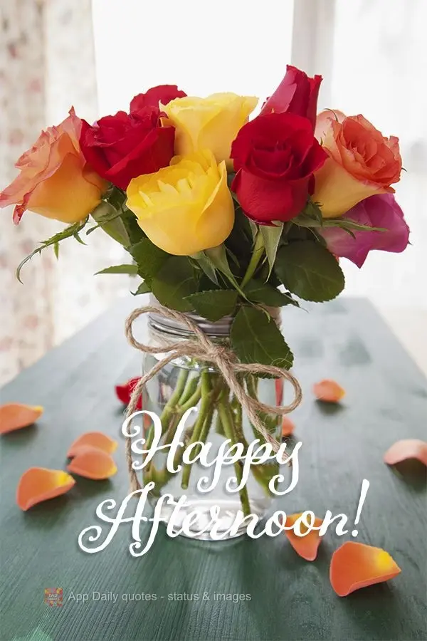 Happy afternoon!
