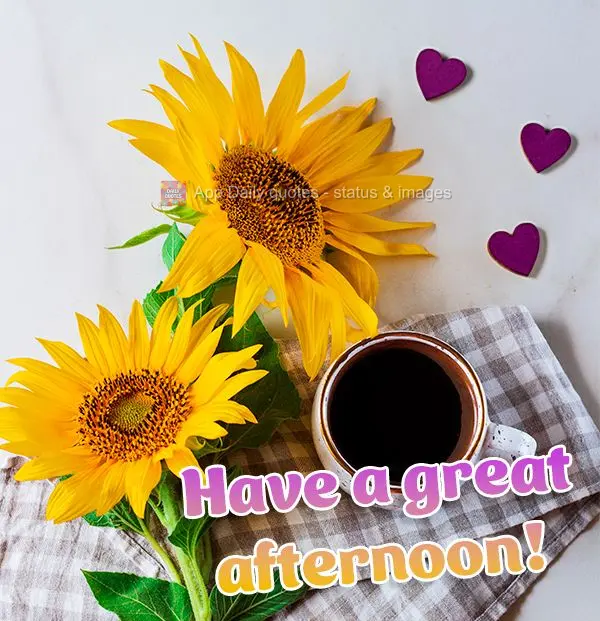 Have a great afternoon!