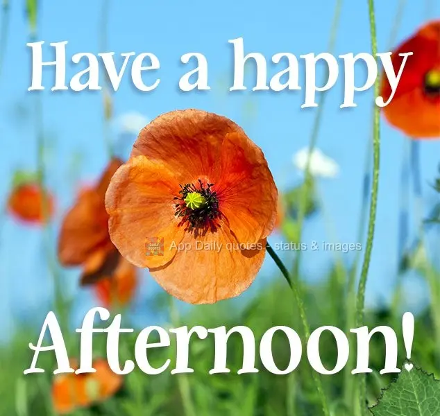 Have a happy afternoon! 