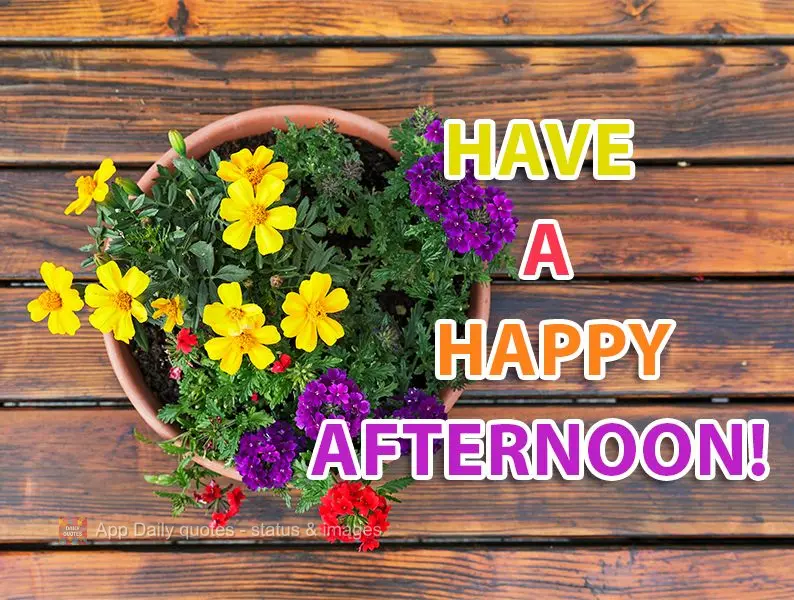 Have a happy afternoon!