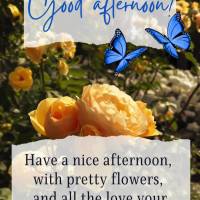 Have a nice afternoon, with pretty flowers, and all the love your heart can contain! Good afternoon!
