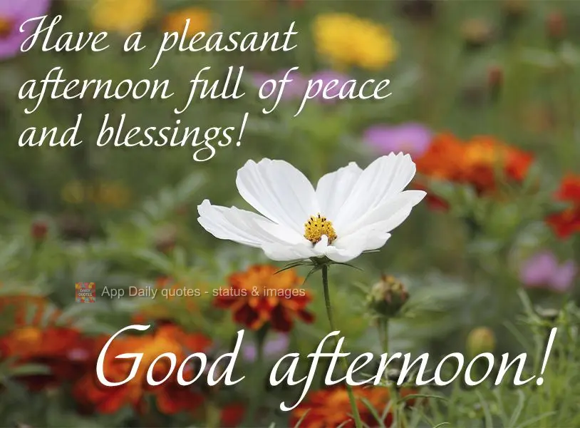 Have a pleasant afternoon full of peace and blessings! Good afternoon!
