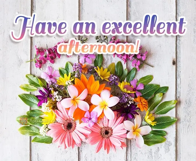 Have an excellent afternoon!