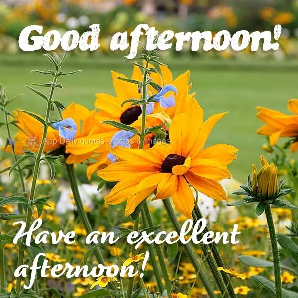 Have an excellent afternoon! Good afternoon!