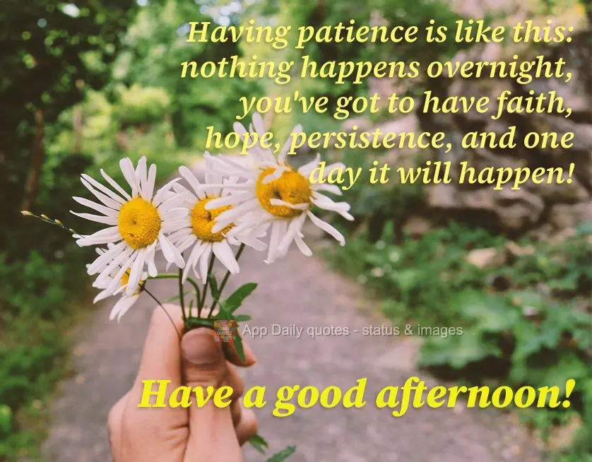 Having patience is like this: nothing happens overnight, you've got to have faith, hope, persistence, and one day it will happen! Have a good afternoon!...