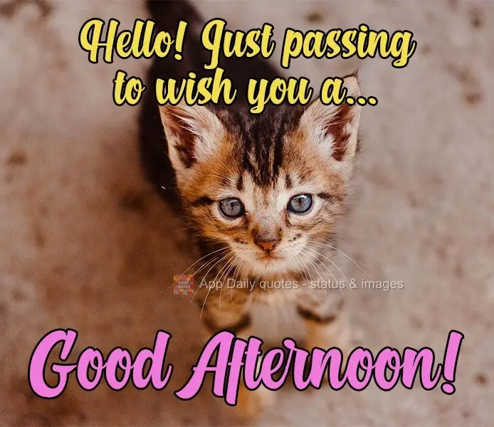 Hello! Just passing by to wish you a... Good Afternoon!