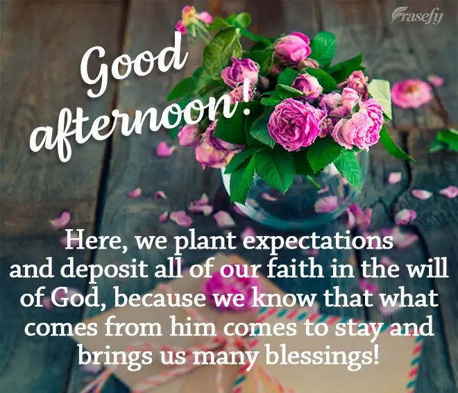 Here, we plant expectations and deposit all of our faith in the will of God, because we know that what comes from him comes to stay and brings us many bl...