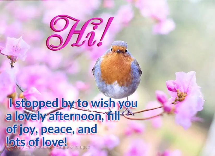 Hi! I stopped by to wish you a lovely afternoon, fill of joy, peace, and lots of love!