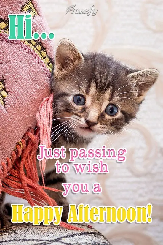 Hi... Just passing by to wish you a Happy Afternoon!