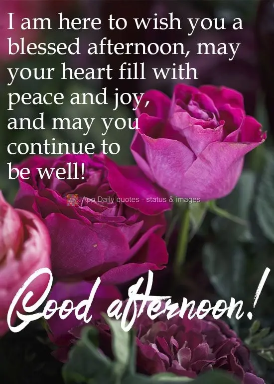 I am here to wish you a blessed afternoon. May your heart fill with peace and joy, and may you continue to be well!  Good afternoon! 