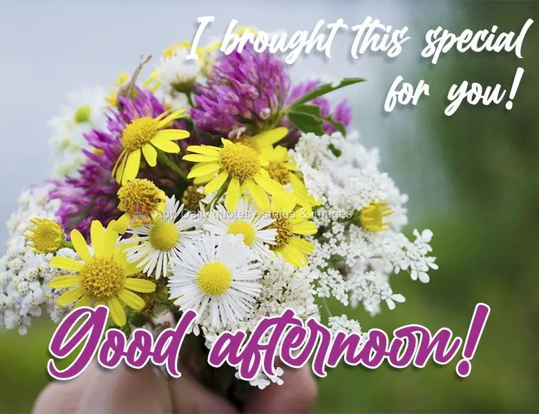 I brought this especially for you!  Good afternoon! 