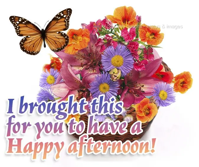 I brought this to wish you a Happy afternoon! 