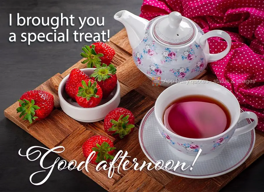 I brought you a special treat! Good afternoon!