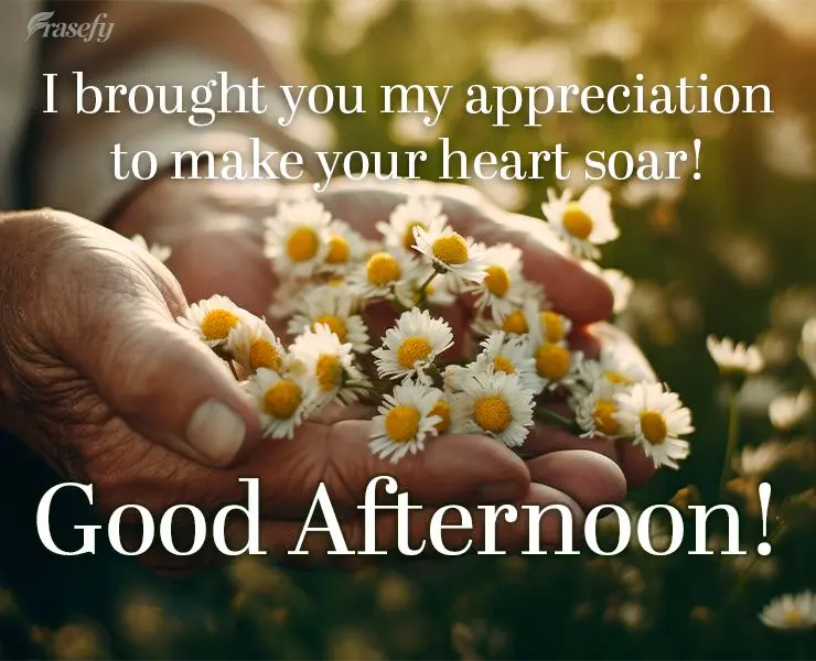 I brought you my appreciation to make your heart soar! Good afternoon!