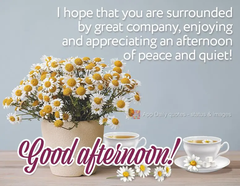 I hope that you are surrounded by great company, enjoying and appreciating an afternoon of peace and quiet! Good afternoon!
