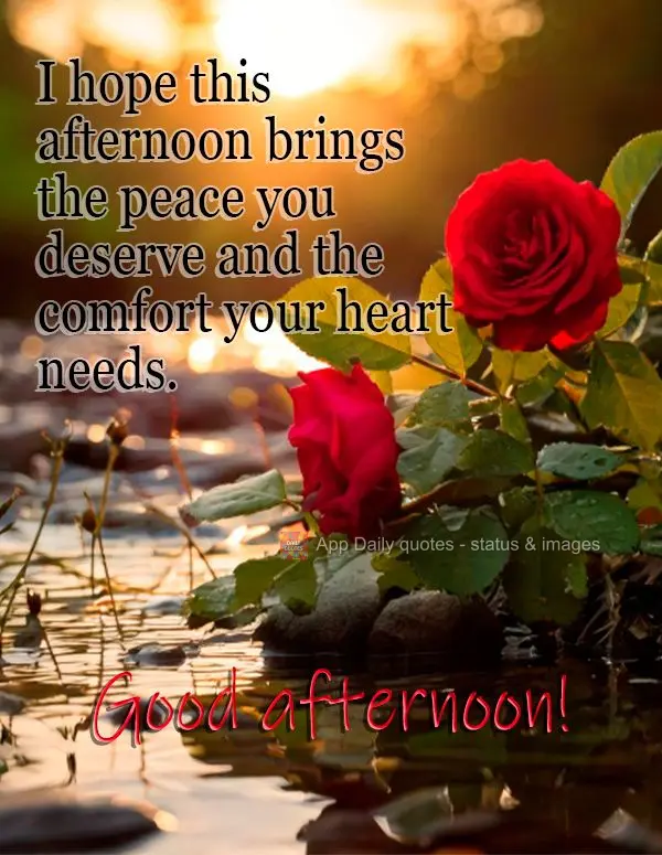 I hope this afternoon brings the peace you deserve and the comfort your heart needs. Good afternoon!