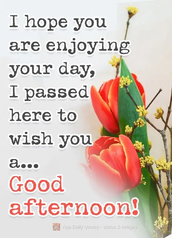 I hope you are enjoying your day. I stopped by to wish you a... Good afternoon!