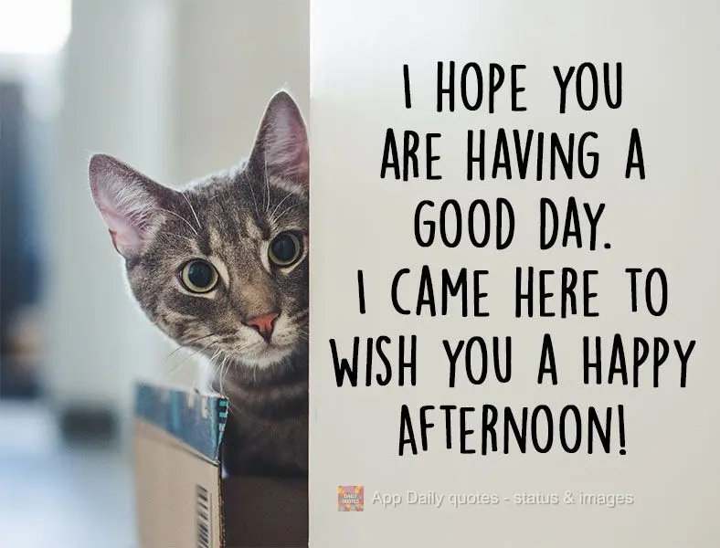 I hope you are having a good day. 
I came here to wish you a Happy Afternoon!