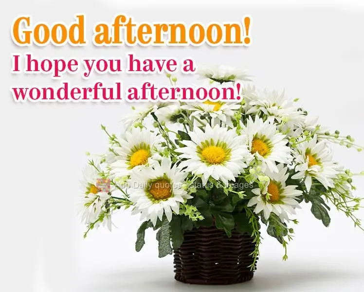 I hope you have a wonderful afternoon! Good afternoon!