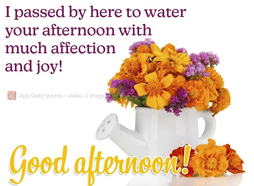 I passed by here to shower your afternoon with lots of affection and joy! Good afternoon!