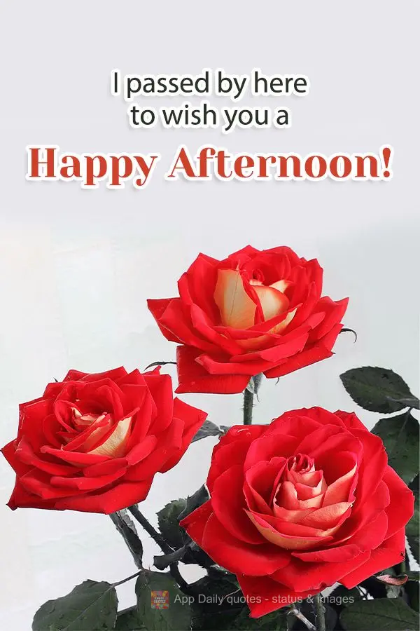 I passed by here to wish you a Happy Afternoon!