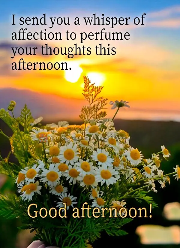 I send you a whisper of affection to perfume your thoughts this afternoon. Good afternoon!