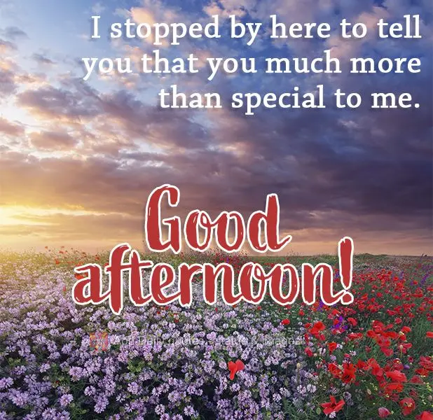 I stopped by here to tell you that you are much more than special to me. Good afternoon!