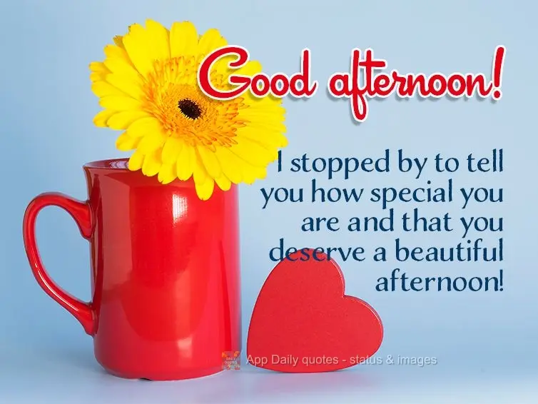 I stopped by to tell you how special you are and that you deserve a beautiful afternoon! Good afternoon!