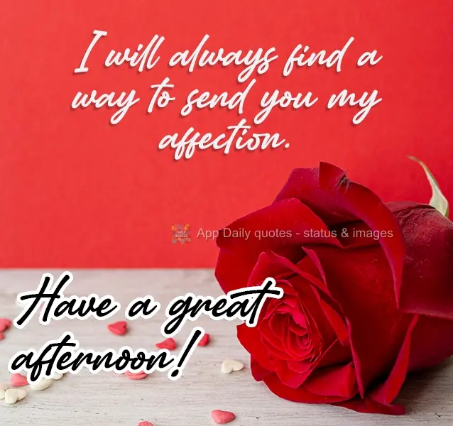 I will always find a way to send you my affection. Have a great afternoon!