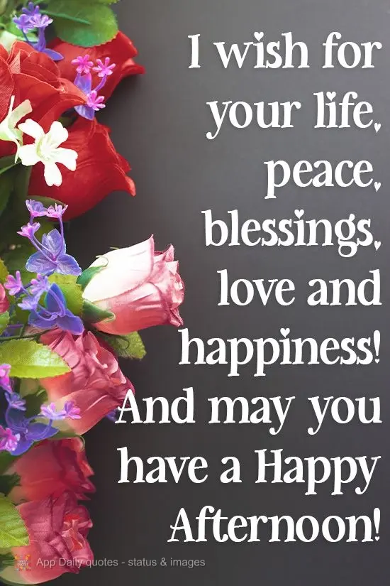 I wish for your life, peace, blessings, love and happiness! And may you have a Happy Afternoon!