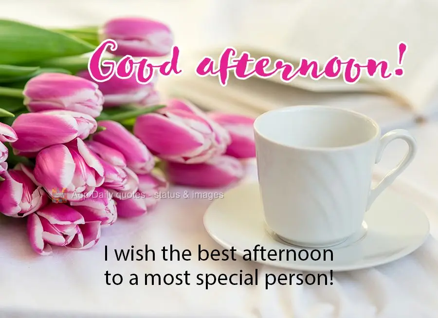 I wish the best afternoon to a most special person! Good afternoon!