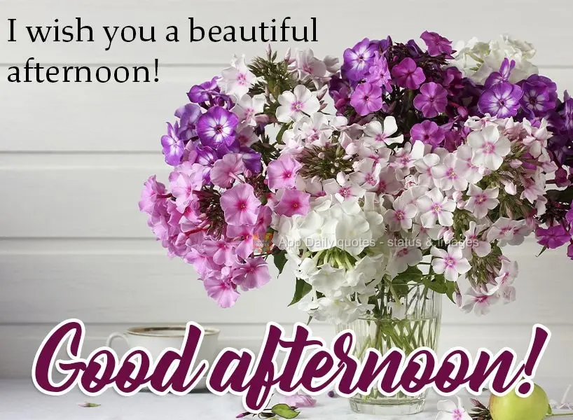 I wish you a beautiful afternoon! Good afternoon!