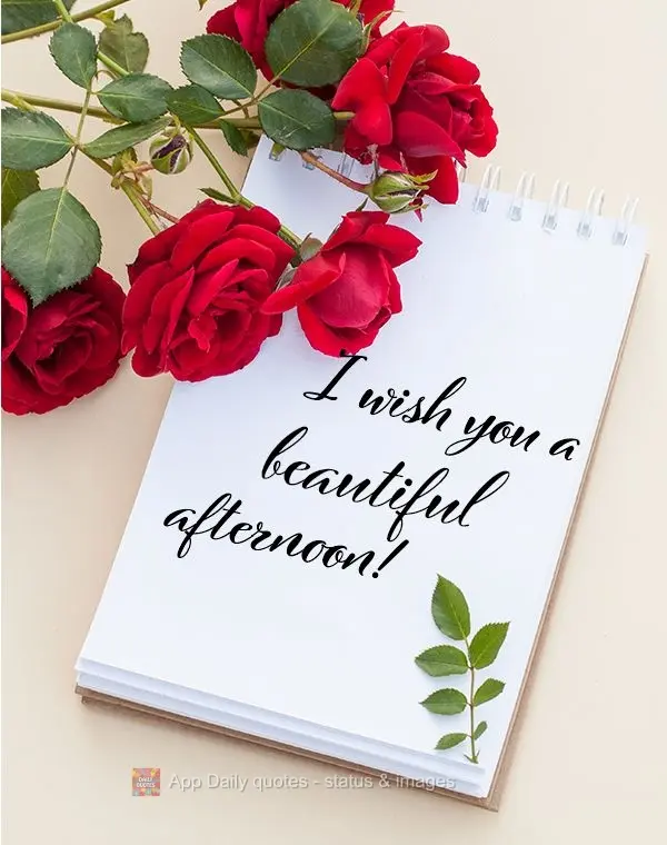I wish you a beautiful afternoon!