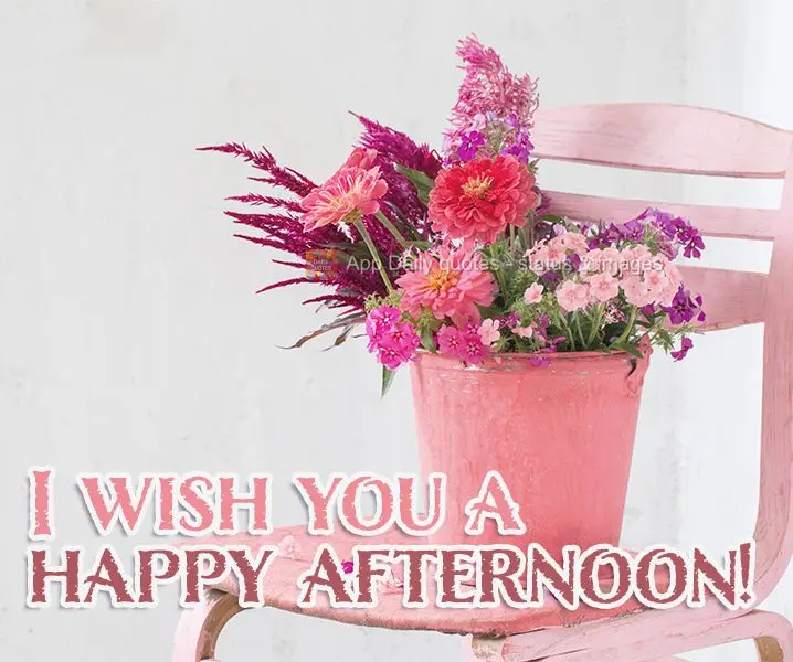 I wish you a happy afternoon!