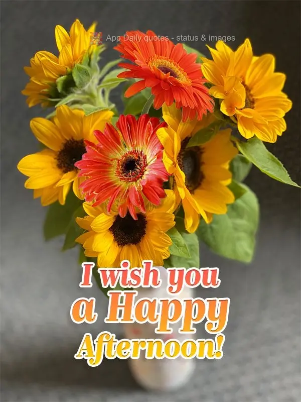 I wish you a Happy Afternoon!