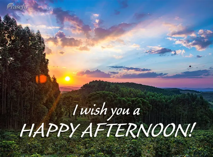I wish you a happy afternoon!