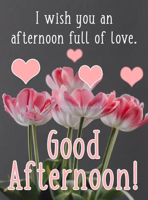 I wish you an afternoon full of love. Good Afternoon!
