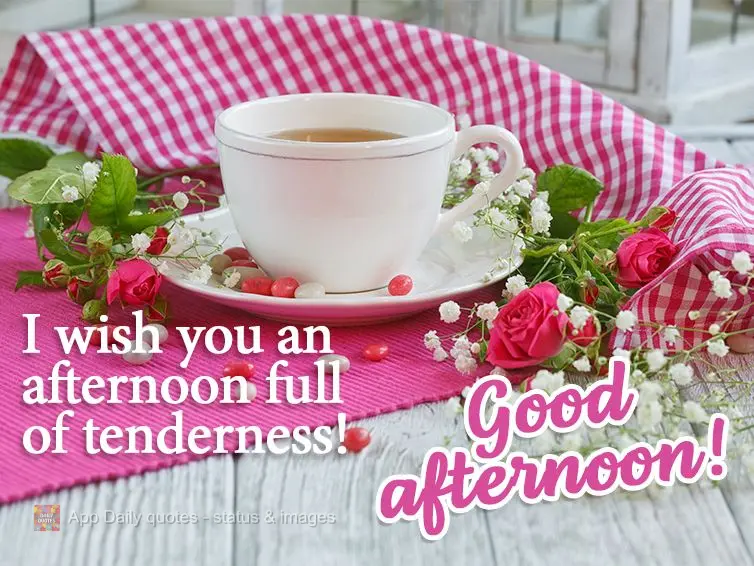 I wish you an afternoon full of tenderness! Good afternoon!