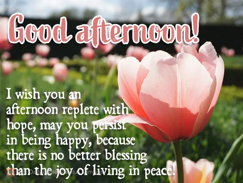 I wish you an afternoon teeming with hope. May you persist in being happy, because there is no greater blessing than the joy of living in peace! Good aft...