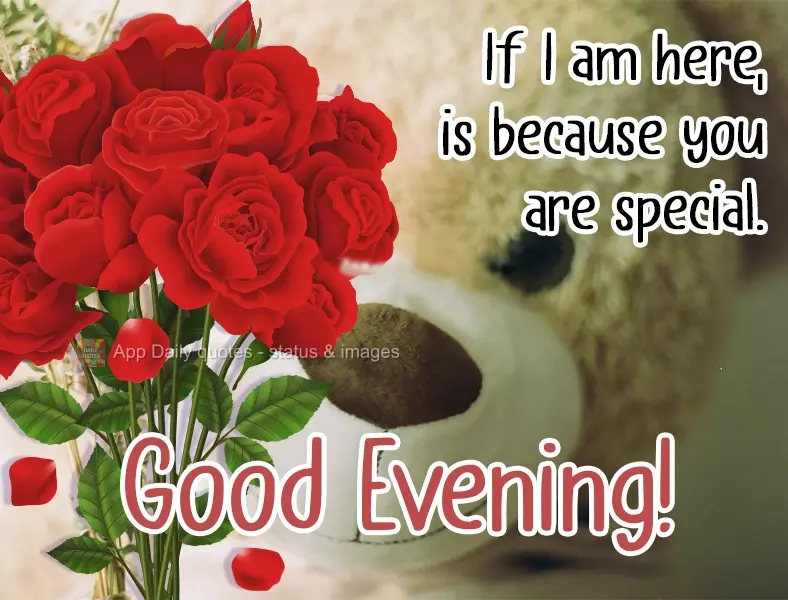 If I am here, it's because you are special. Good Afternoon!