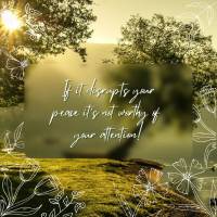 If it disrupts your peace, it's not worthy of your attention! Good afternoon!