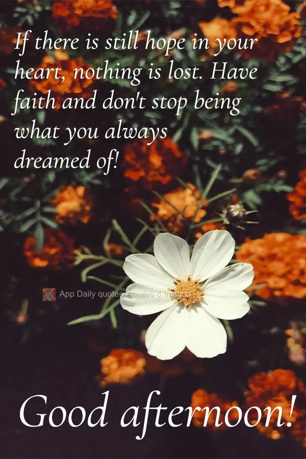 If there is still hope in your heart, nothing is lost. Have faith and don't stop being what you always dreamed of! Good afternoon!